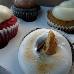 cupcakes! s'more, red velvet, double chocolate, pumpkin spice