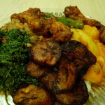 vegetarian and meat combo