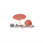 Lawrence Hall of Science