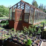 photo: Edible Schoolyard
