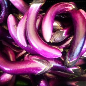 photo: Christina Mitchell