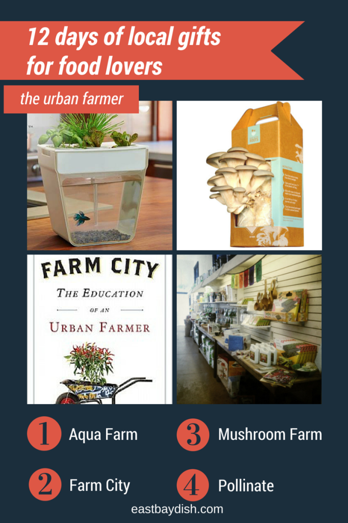 12 days of gifts, urban farmer, east bay dish