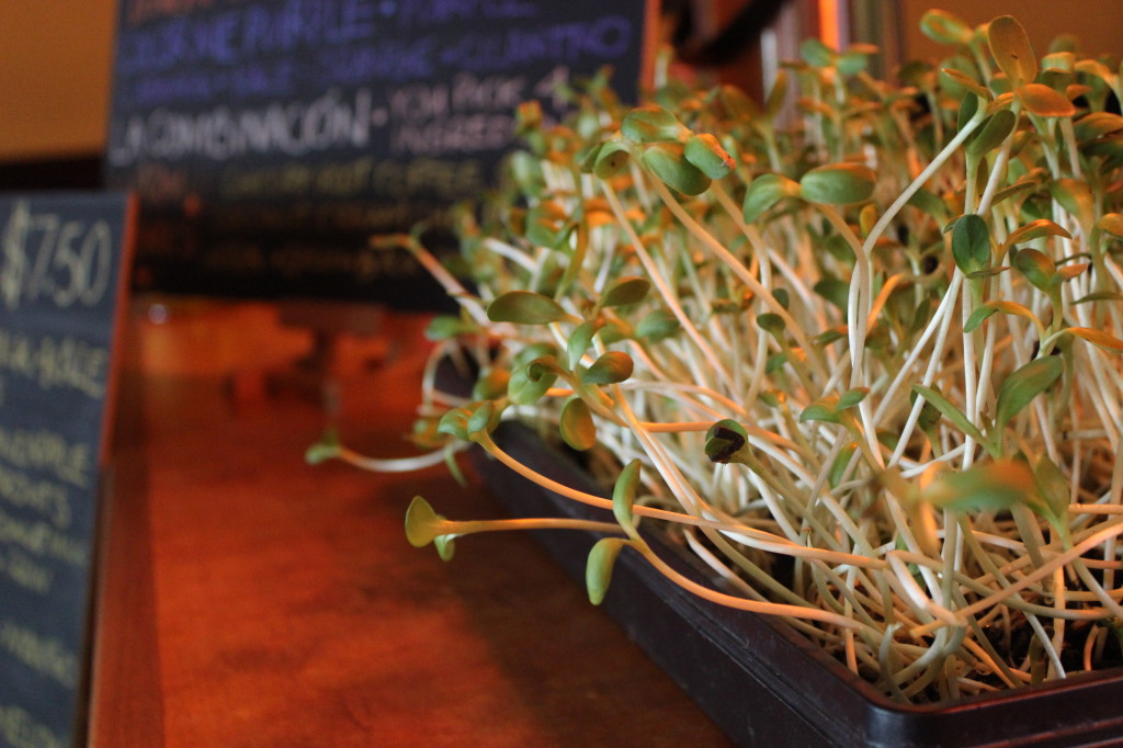 photo: Christina Mitchell